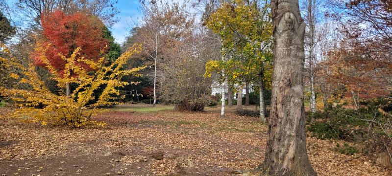 Commercial Property for Sale in Hogsback Eastern Cape